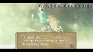 The Legend of Zelda: Skyward Sword