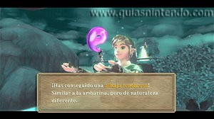 The Legend of Zelda: Skyward Sword