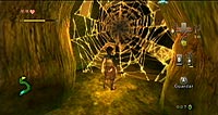 The Legend of Zelda: Twilight Princess (Wii)