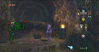 The Legend of Zelda: Twilight Princess (Wii)