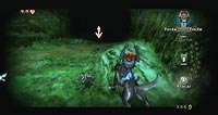 The Legend of Zelda: Twilight Princess (Wii)