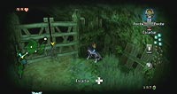 The Legend of Zelda: Twilight Princess (Wii)