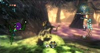 The Legend of Zelda: Twilight Princess (Wii)