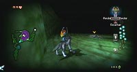 The Legend of Zelda: Twilight Princess (Wii)