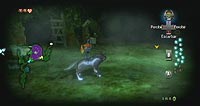 The Legend of Zelda: Twilight Princess (Wii)