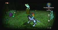 The Legend of Zelda: Twilight Princess (Wii)
