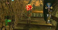 The Legend of Zelda: Twilight Princess (Wii)