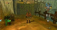 The Legend of Zelda: Twilight Princess (Wii)