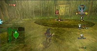 The Legend of Zelda: Twilight Princess (Wii)