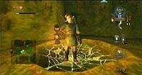 The Legend of Zelda: Twilight Princess (Wii)