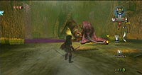 The Legend of Zelda: Twilight Princess (Wii)
