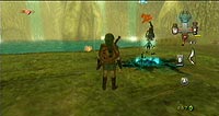 The Legend of Zelda: Twilight Princess (Wii)