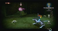 The Legend of Zelda: Twilight Princess (Wii)