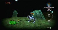 The Legend of Zelda: Twilight Princess (Wii)