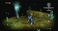 The Legend of Zelda: Twilight Princess (Wii)