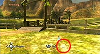 The Legend of Zelda: Twilight Princess (Wii)