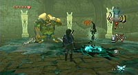 The Legend of Zelda: Twilight Princess (Wii)
