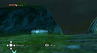 The Legend of Zelda: Twilight Princess (Wii)
