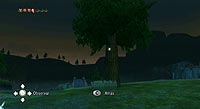 The Legend of Zelda: Twilight Princess (Wii)