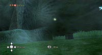 The Legend of Zelda: Twilight Princess (Wii)