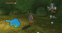 The Legend of Zelda: Twilight Princess (Wii)