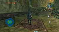 The Legend of Zelda: Twilight Princess (Wii)
