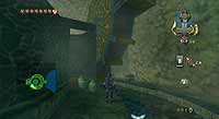 The Legend of Zelda: Twilight Princess (Wii)