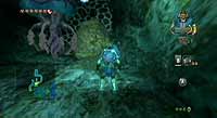 The Legend of Zelda: Twilight Princess (Wii)