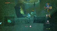 The Legend of Zelda: Twilight Princess (Wii)