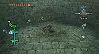 The Legend of Zelda: Twilight Princess (Wii)