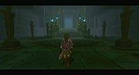 The Legend of Zelda: Twilight Princess (Wii)