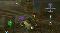 The Legend of Zelda: Twilight Princess (Wii)