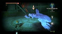 The Legend of Zelda: Twilight Princess (Wii)