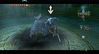 The Legend of Zelda: Twilight Princess (Wii)