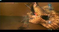 The Legend of Zelda: Twilight Princess (Wii)