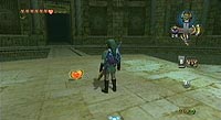 The Legend of Zelda: Twilight Princess (Wii)