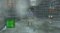 The Legend of Zelda: Twilight Princess (Wii)