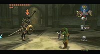The Legend of Zelda: Twilight Princess (Wii)