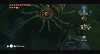 The Legend of Zelda: Twilight Princess (Wii)