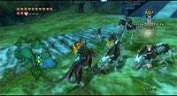 The Legend of Zelda: Twilight Princess (Wii)