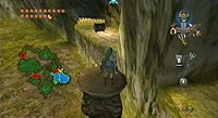 The Legend of Zelda: Twilight Princess (Wii)