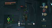 The Legend of Zelda: Twilight Princess (Wii)
