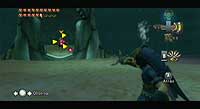 The Legend of Zelda: Twilight Princess (Wii)