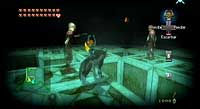 The Legend of Zelda: Twilight Princess (Wii)