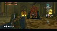 The Legend of Zelda: Twilight Princess (Wii)