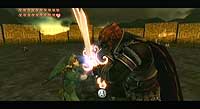 The Legend of Zelda: Twilight Princess (Wii)