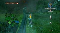 The Legend of Zelda: Twilight Princess (Wii)