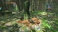 The Legend of Zelda: Twilight Princess (Wii)