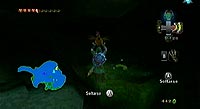 The Legend of Zelda: Twilight Princess (Wii)