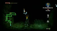 The Legend of Zelda: Twilight Princess (Wii)
